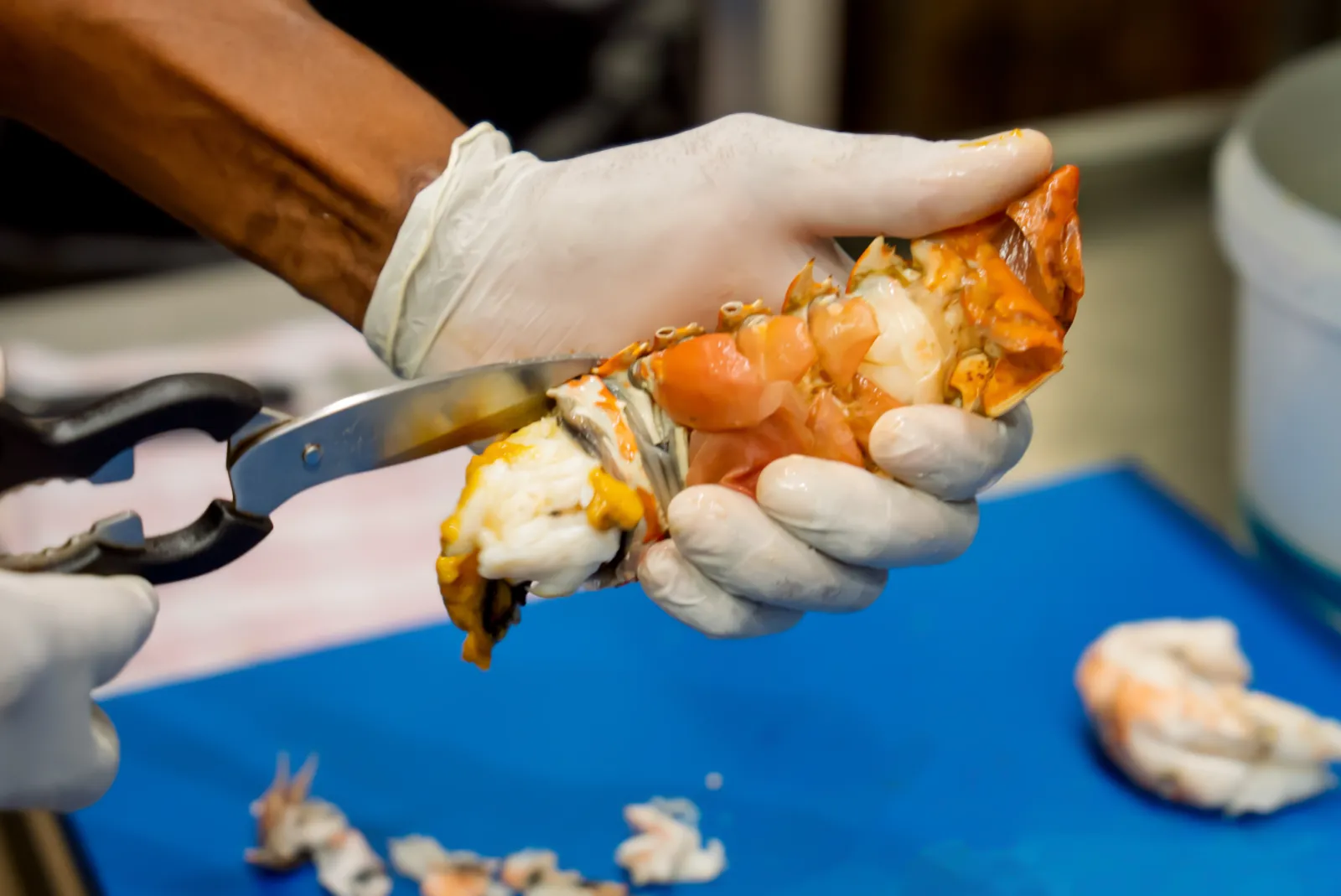 En cuisine au Bistrot Loudet : préparation d’un homard, restaurant de poisson à Saint-Raphaël